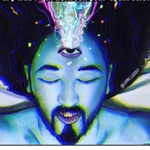 Meet your Posher, Skye